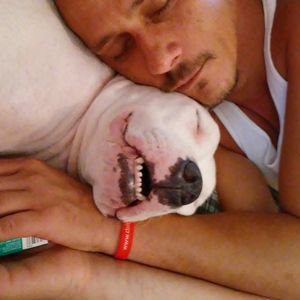 Meet your Posher, Wilson